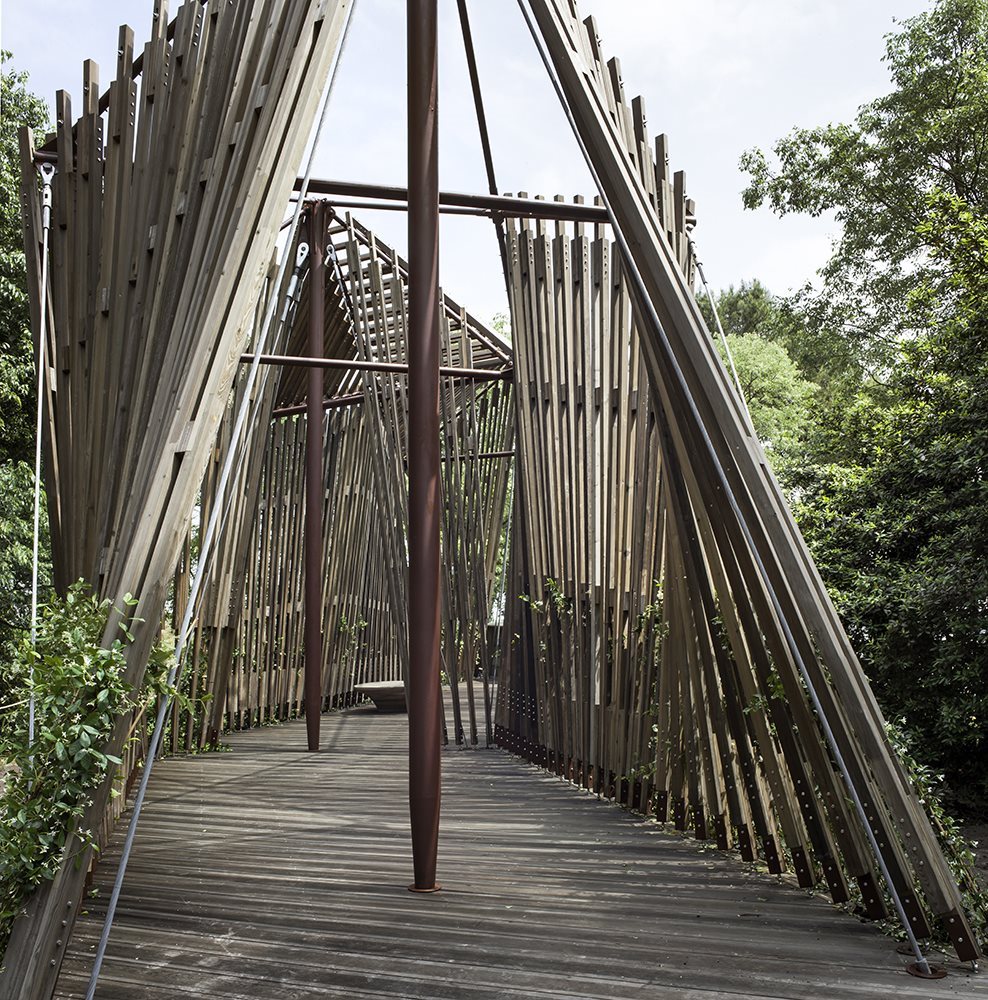 TE_TECNO BIENNALE 2018_6TE_TECNO BIENNALE 2018_0M_AC_1805(1)